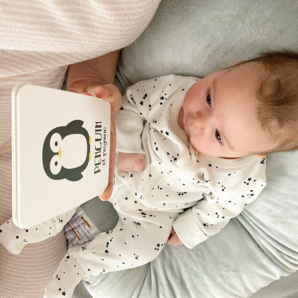 arctic-animals-flashcards-Gift-Baby-Toys-10