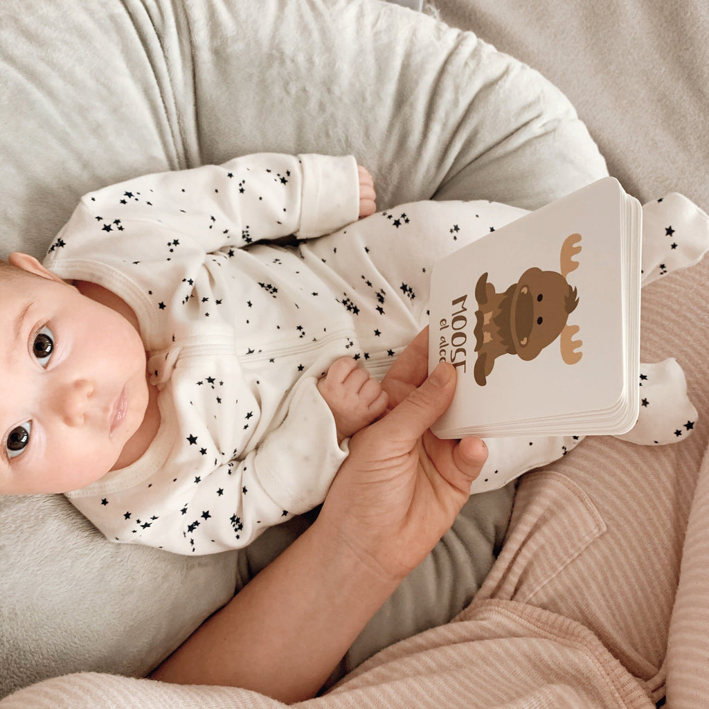 arctic-animals-flashcards-Gift-Baby-Toys-12