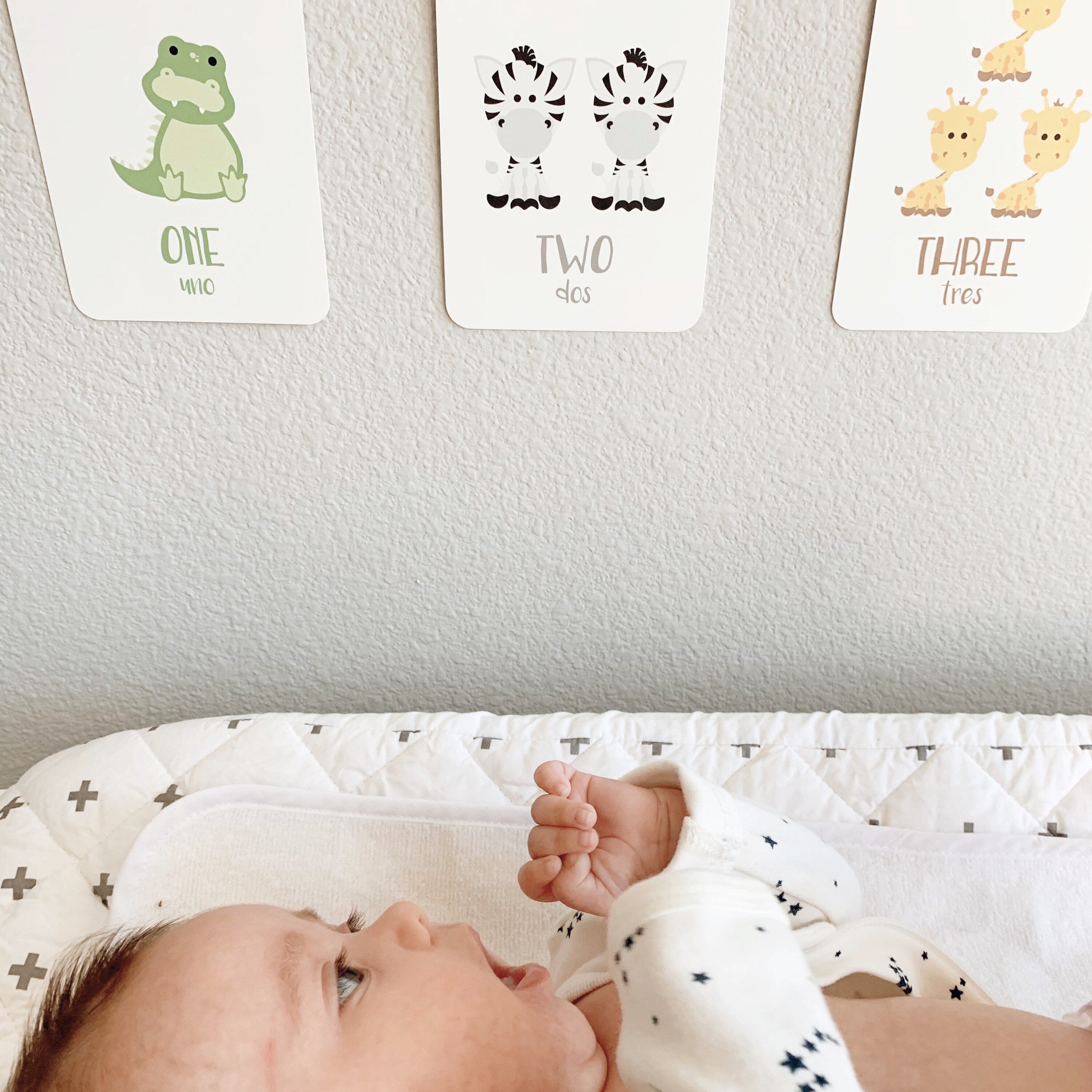 counting-flashcards-animals-Gift-Baby-Toys-2