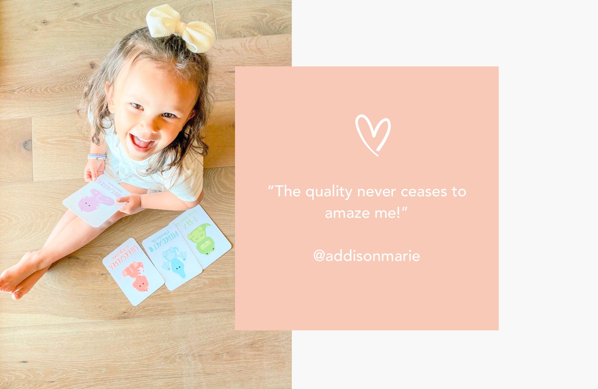 dinosaur-flashcards-Gift-Baby-Toys-5