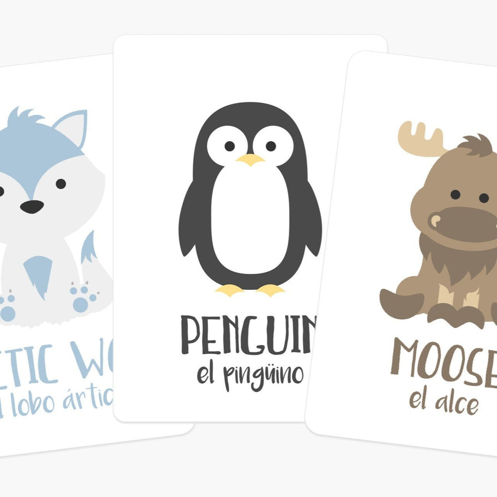 arctic-animals-flashcards-Gift-Baby-Toys-5
