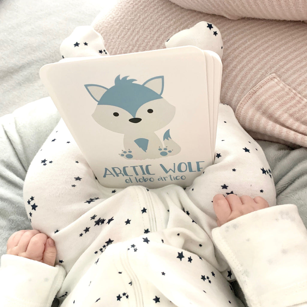 arctic-animals-flashcards-Gift-Baby-Toys-9