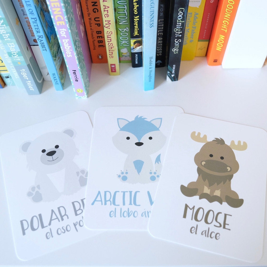 arctic-animals-flashcards-Gift-Baby-Toys-11