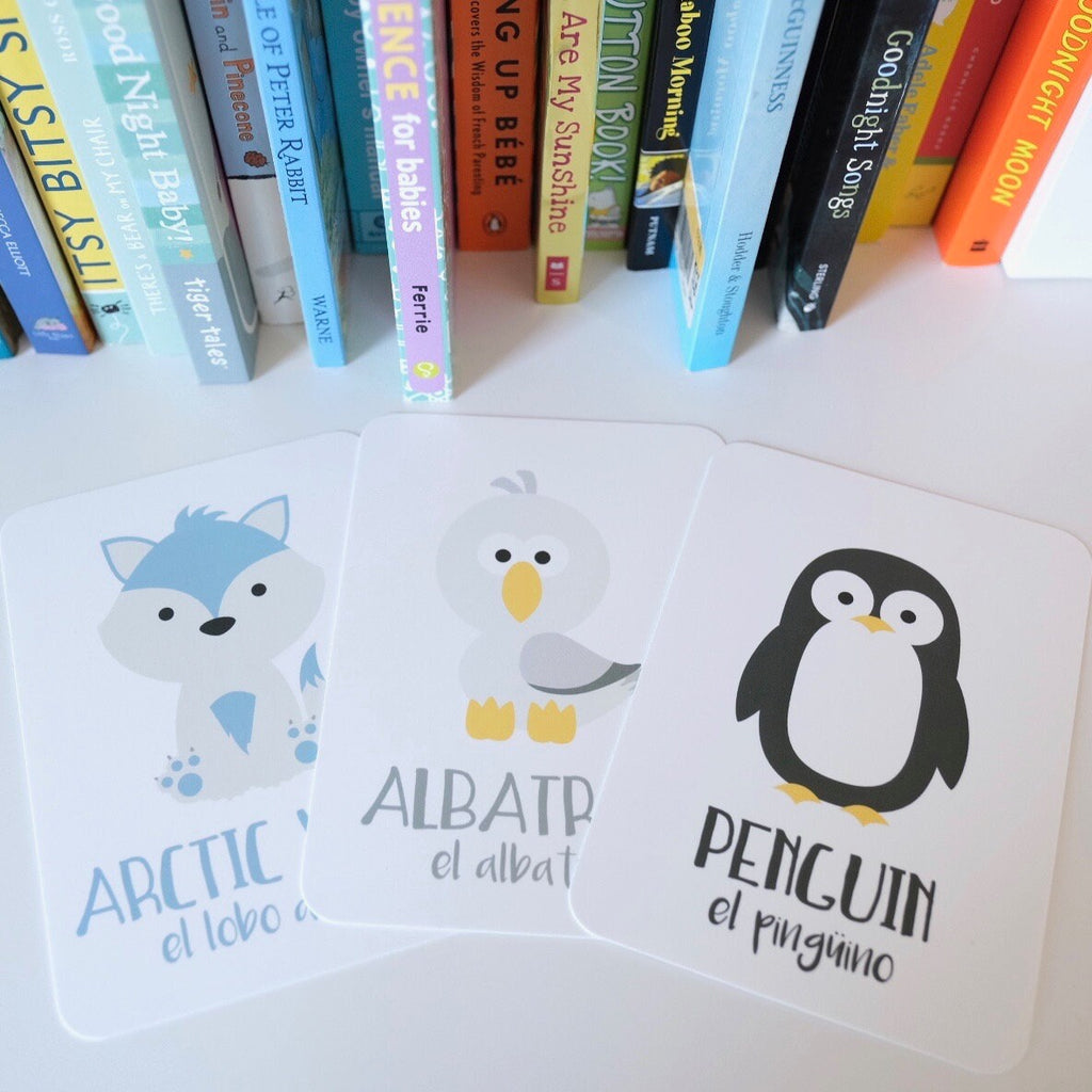 arctic-animals-flashcards-Gift-Baby-Toys-13