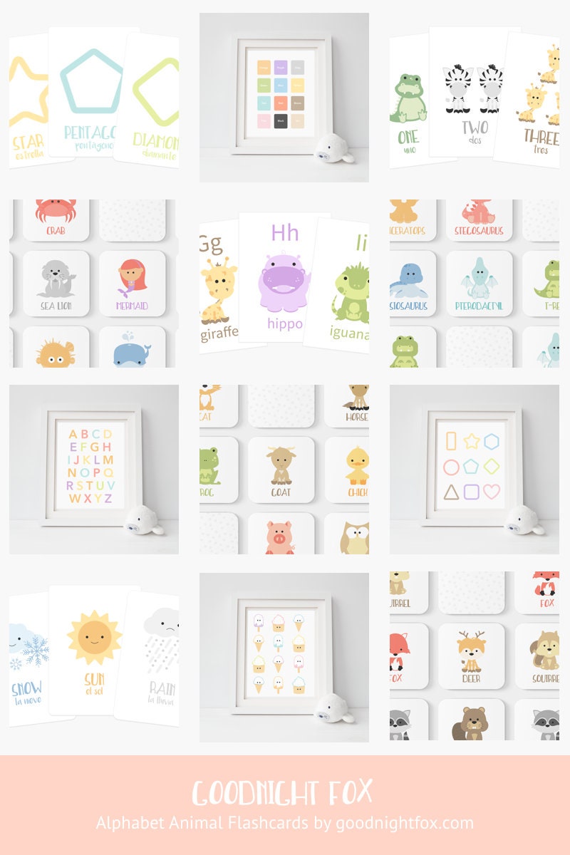 animal-alphabet-flashcards-a-to-z-learning-cards-for-toddlers-and-preschoolers-Gift-Baby-Toys-11
