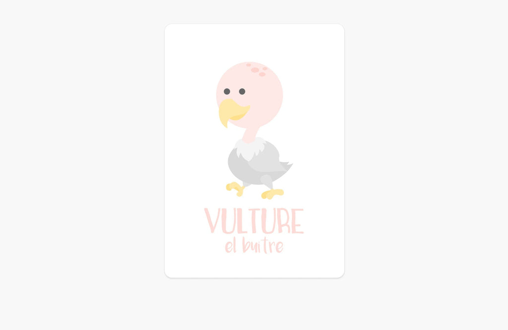 desert-animal-flashcards-Gift-Baby-Toys-5