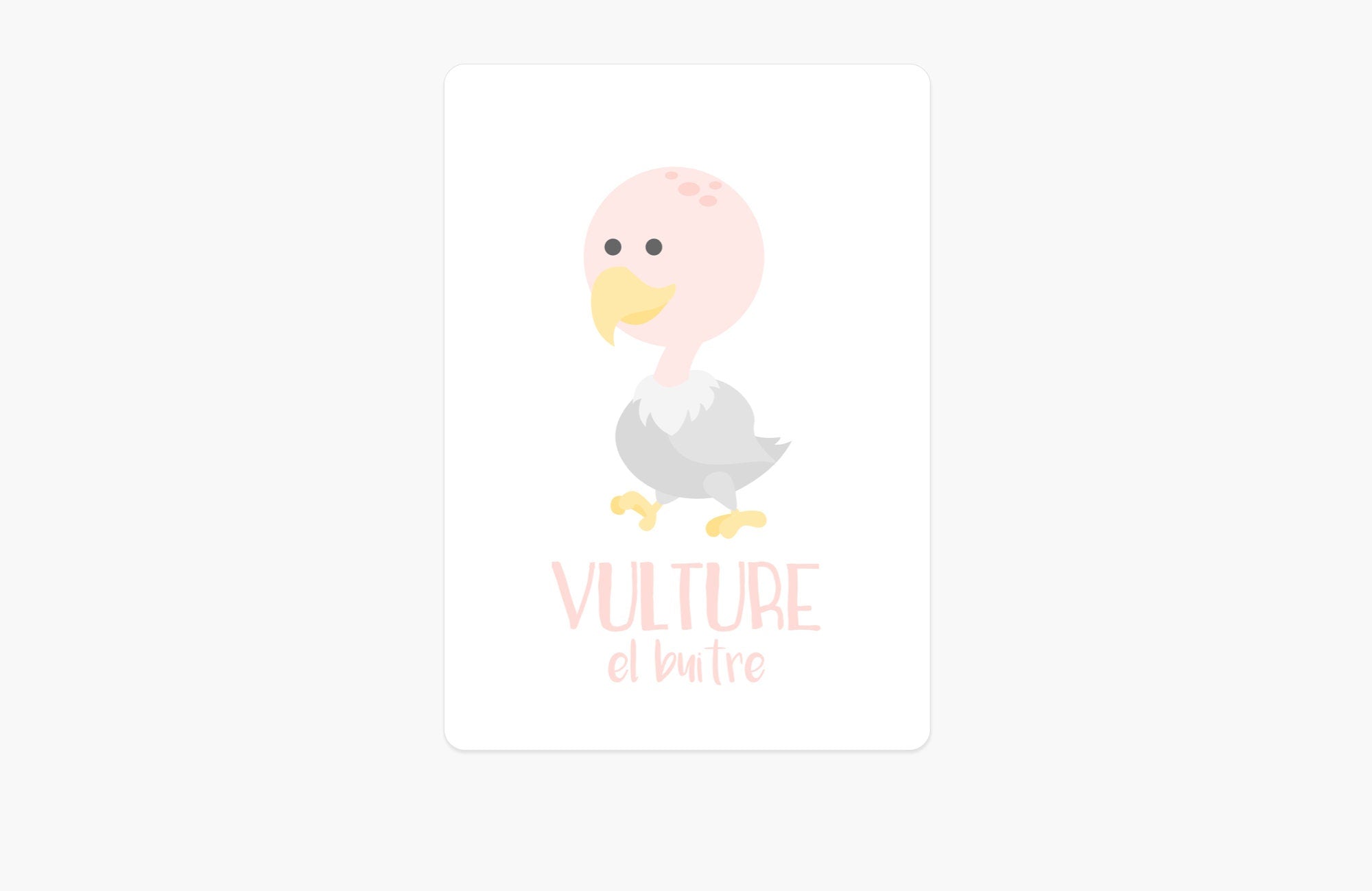 desert-animal-flashcards-Gift-Baby-Toys-5