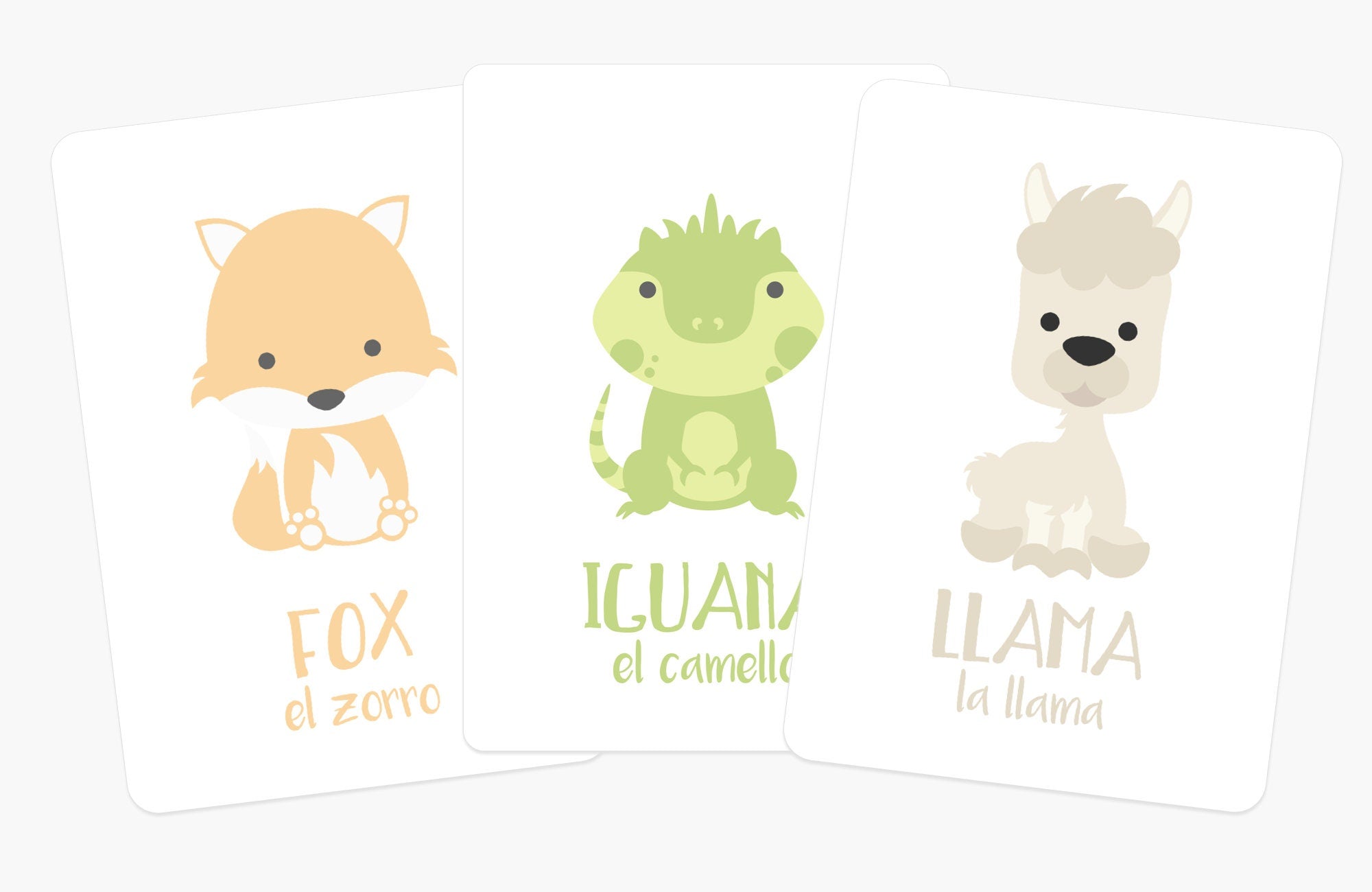 desert-animal-flashcards-Gift-Baby-Toys-4