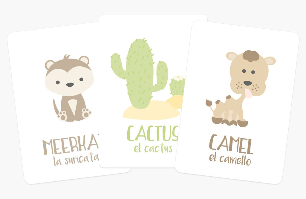desert-animal-flashcards-Gift-Baby-Toys-3