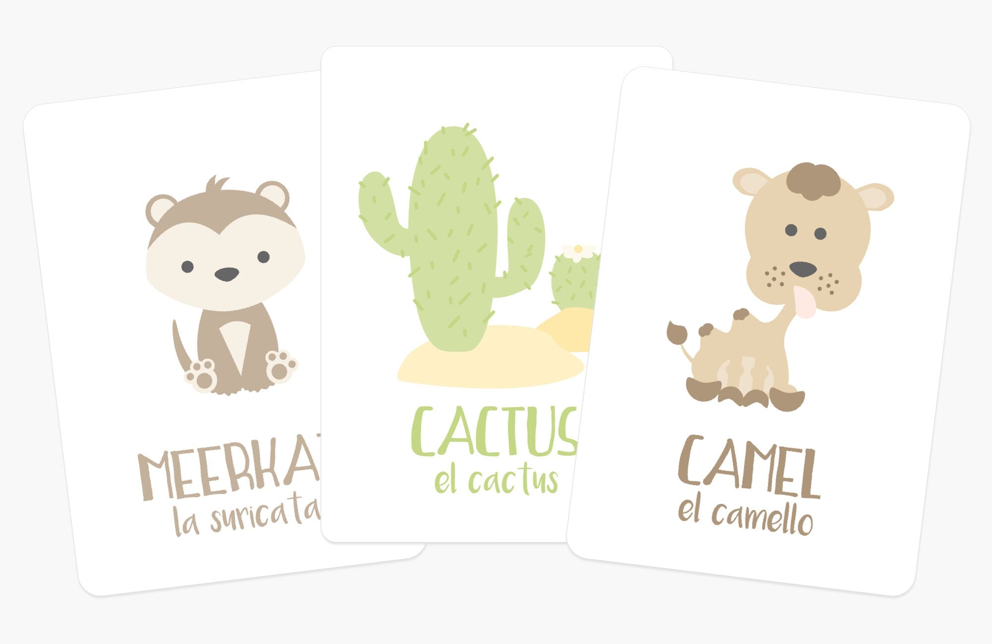 desert-animal-flashcards-Gift-Baby-Toys-3