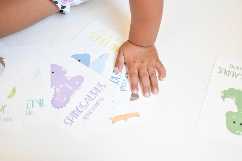 dinosaur-flashcards-Gift-Baby-Toys-6
