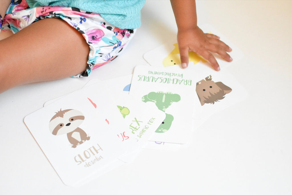 dinosaur-flashcards-Gift-Baby-Toys-8