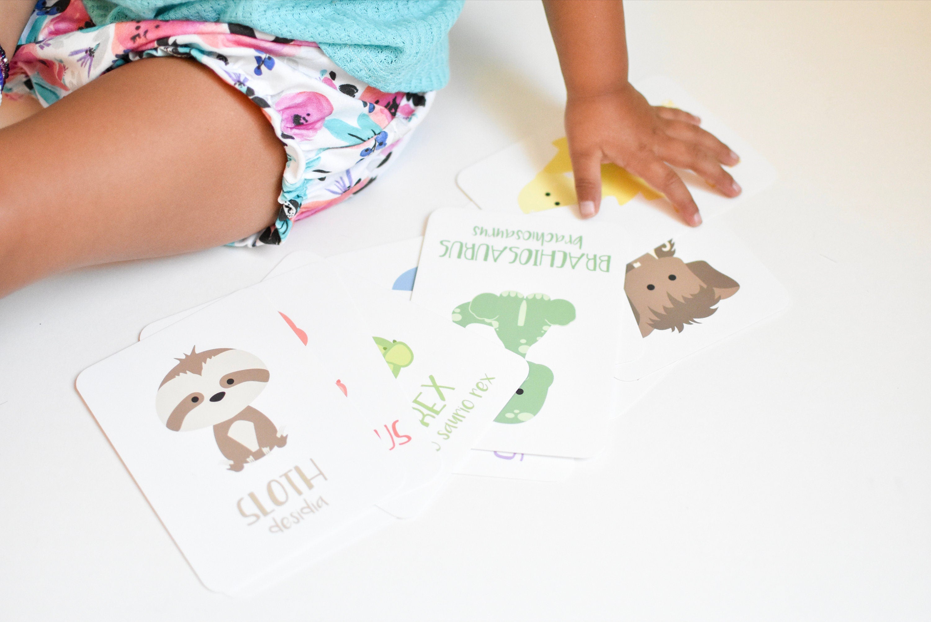 dinosaur-flashcards-Gift-Baby-Toys-8