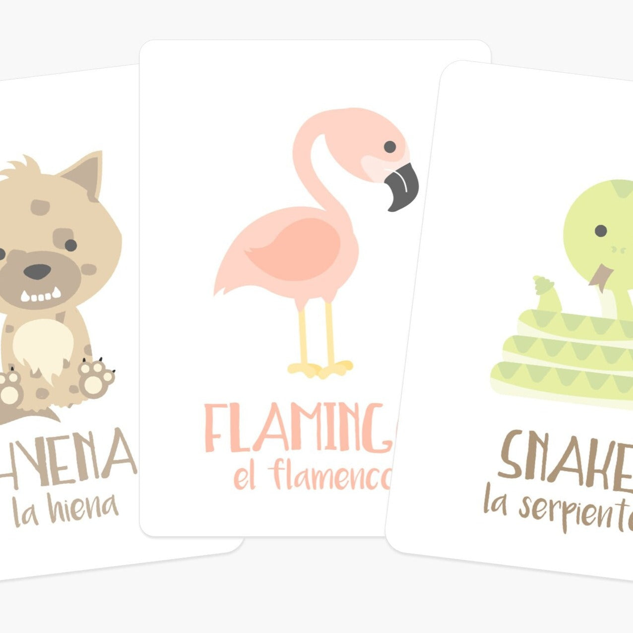 desert-animal-flashcards-Gift-Baby-Toys-2
