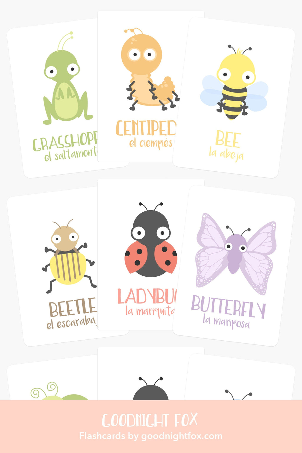 bugs-flashcards-Gift-Baby-Toys-4