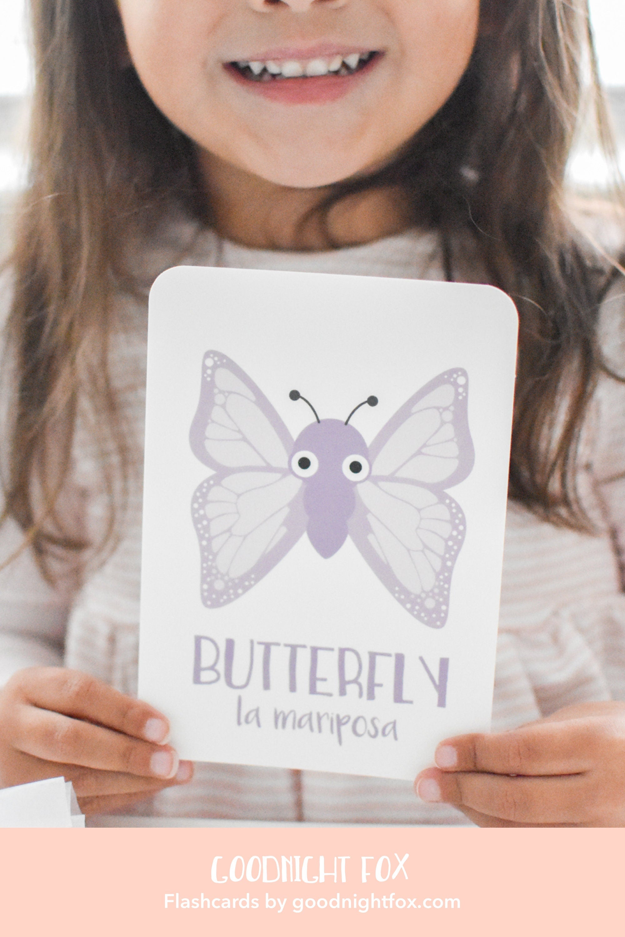 bugs-flashcards-Gift-Baby-Toys-6