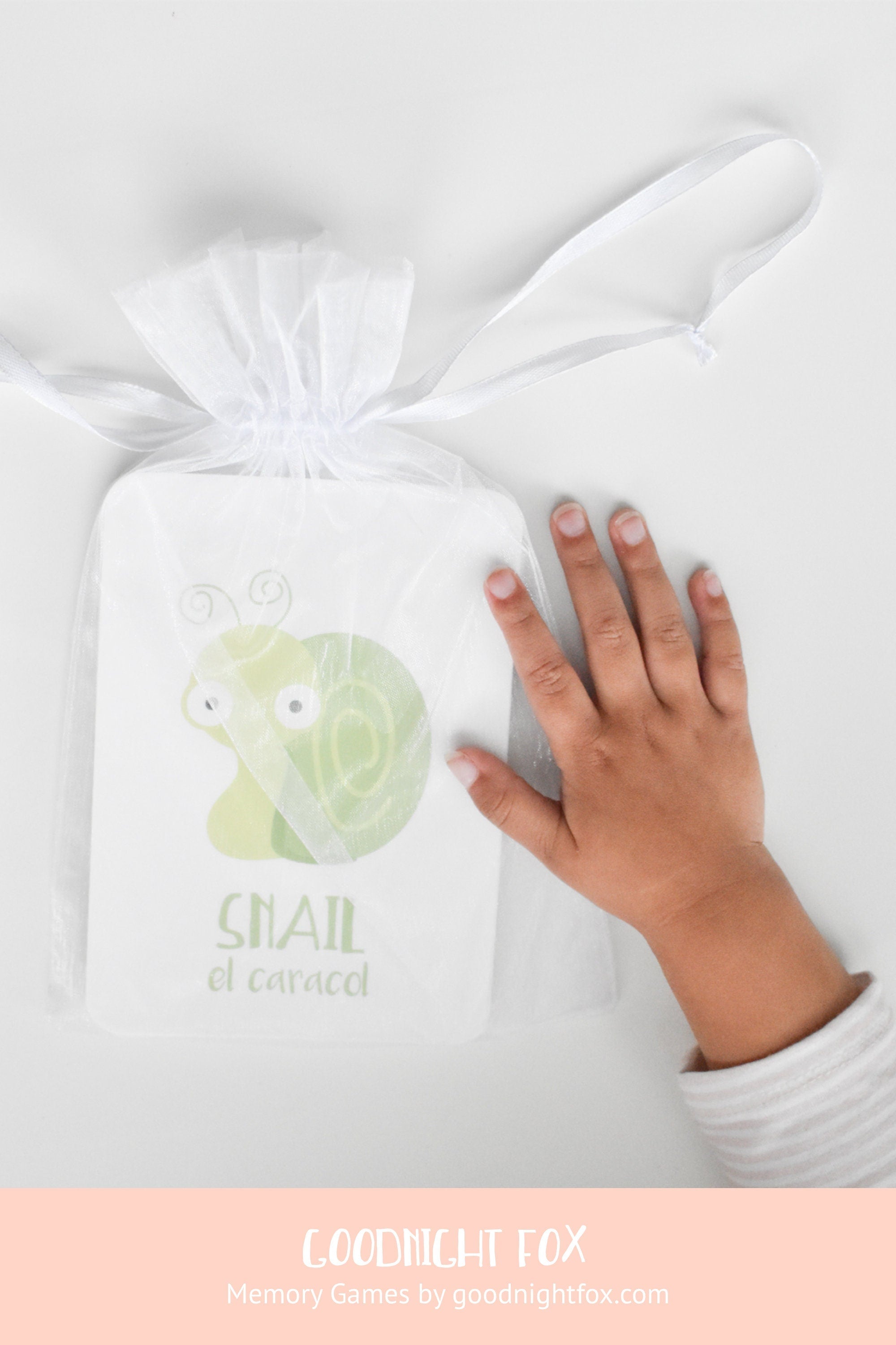 bugs-flashcards-Gift-Baby-Toys-8