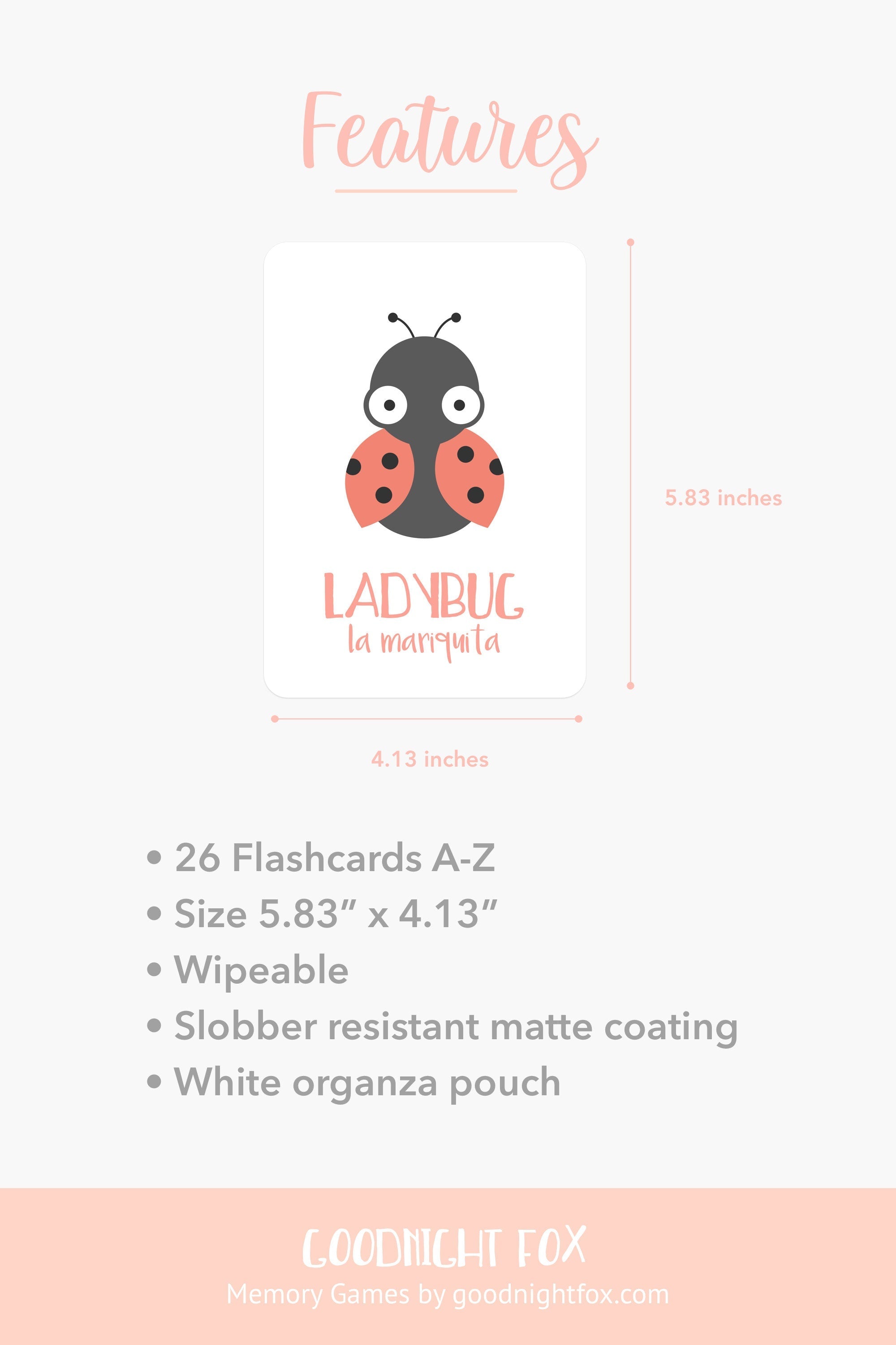 bugs-flashcards-Gift-Baby-Toys-3