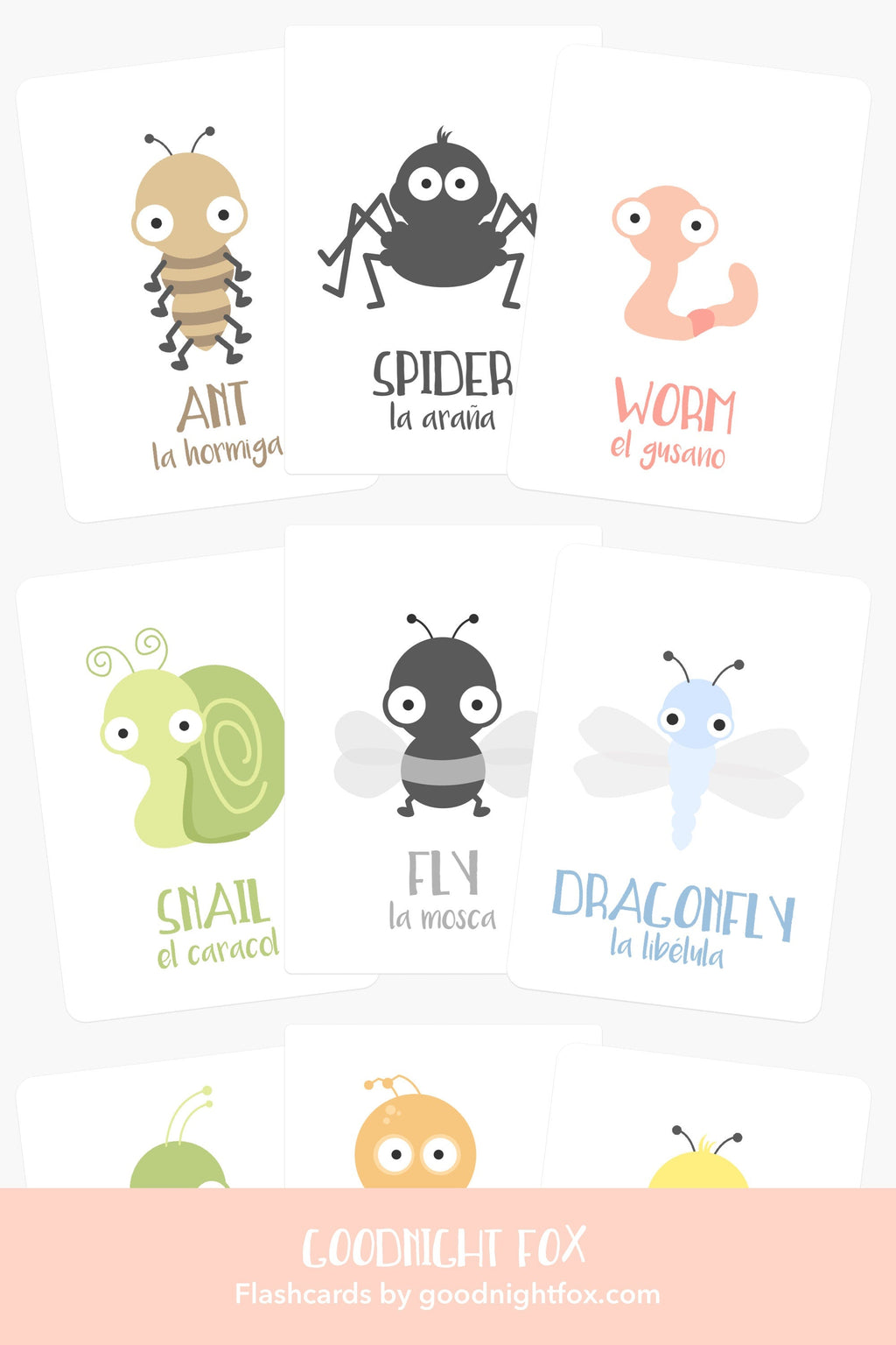 bugs-flashcards-Gift-Baby-Toys-5