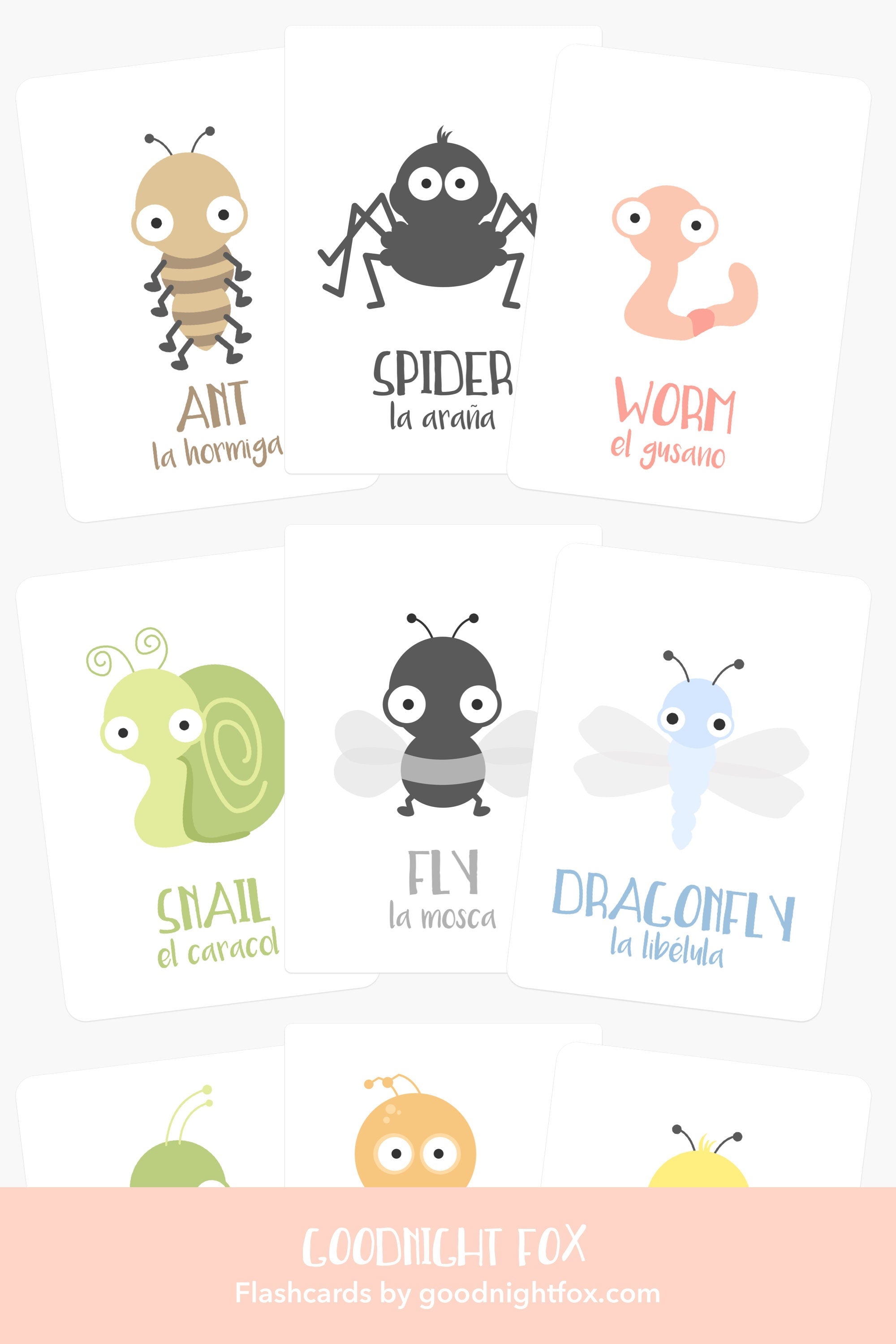 bugs-flashcards-Gift-Baby-Toys-5