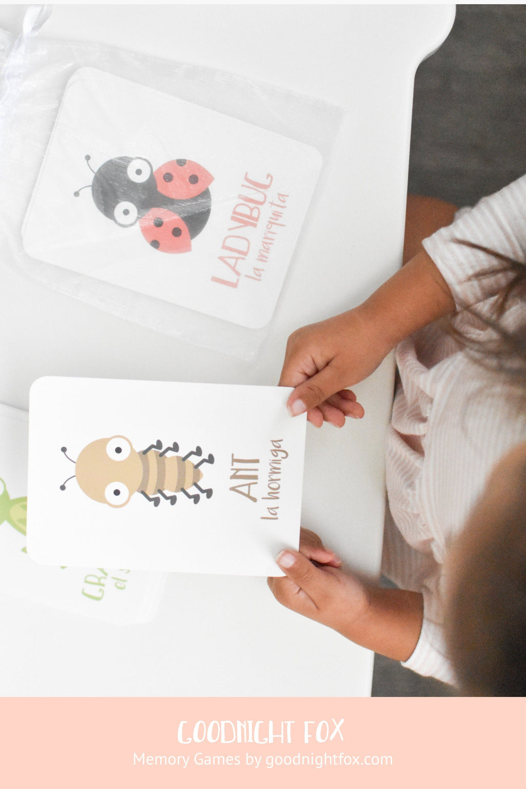 bugs-flashcards-Gift-Baby-Toys-11