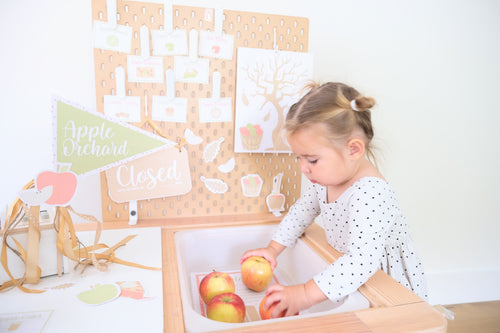apple-orchard-dramatic-play-printables-Gift-Baby-Toys-2