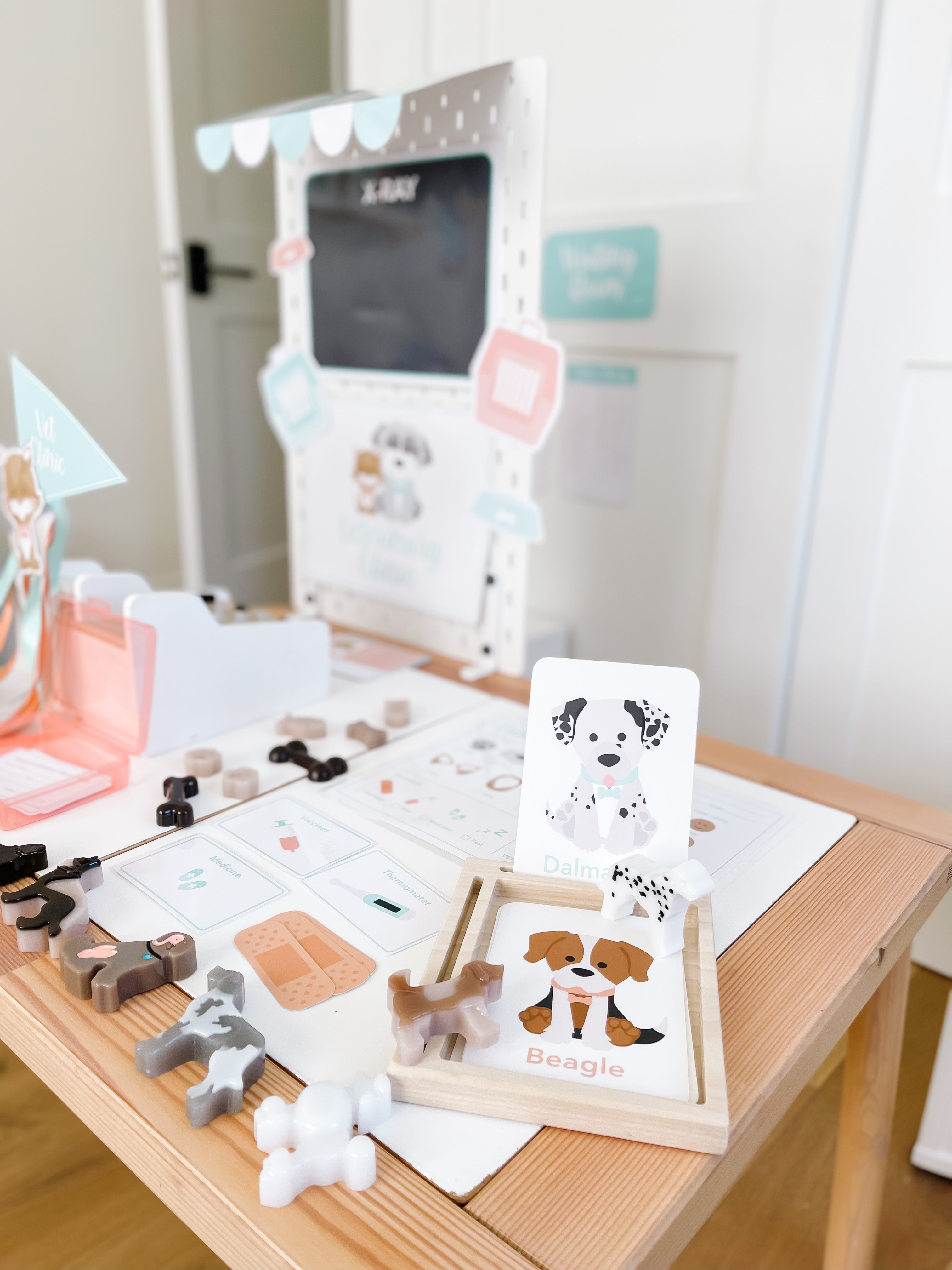 dog-breed-flash-cards-Gift-Baby-Toys-4