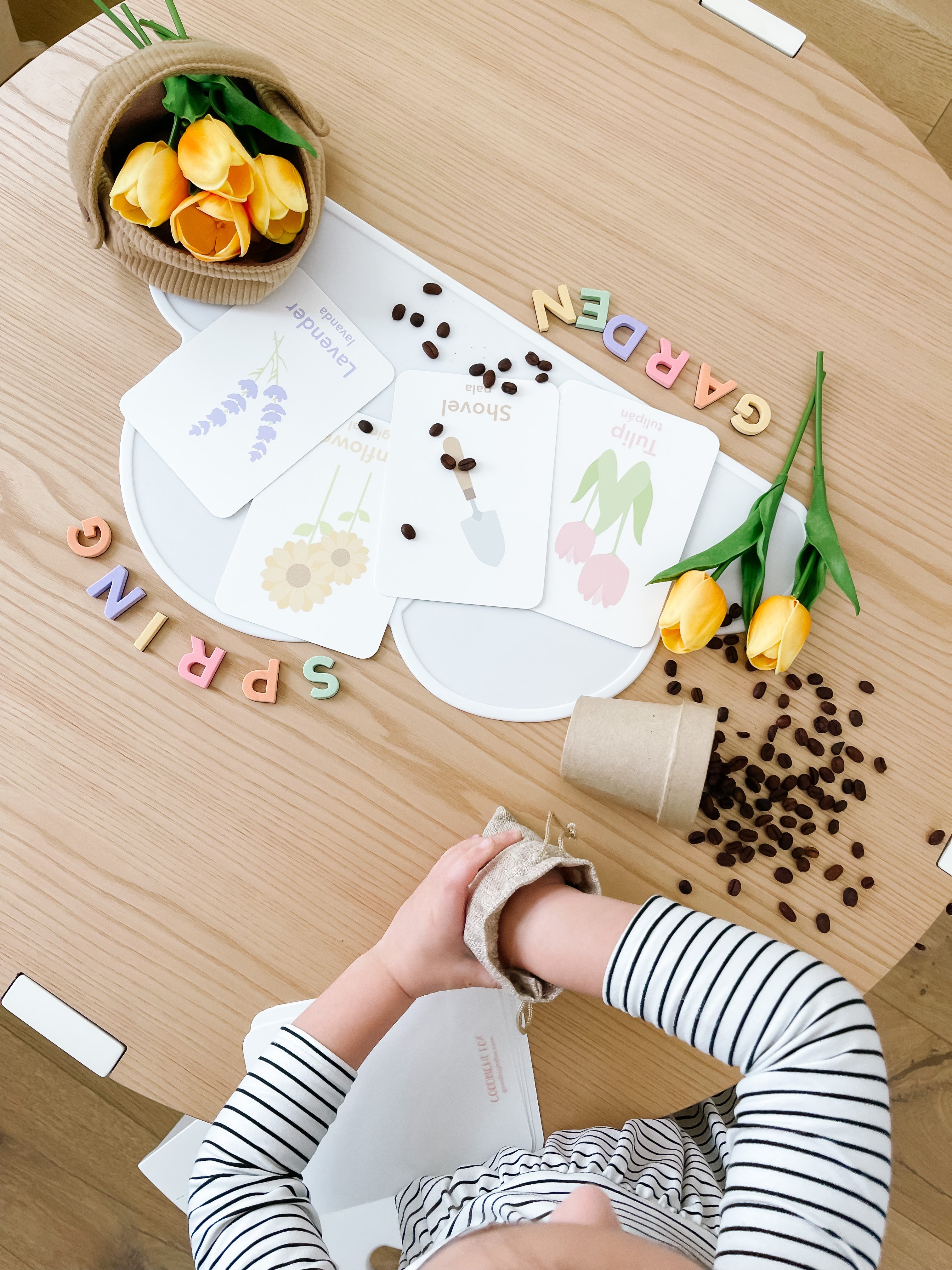 flower-garden-flashcards-Gift-Baby-Toys-17