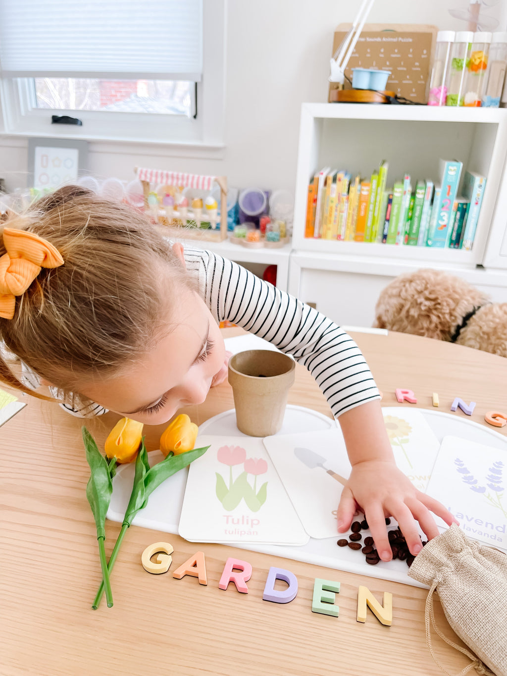 flower-garden-flashcards-Gift-Baby-Toys-12