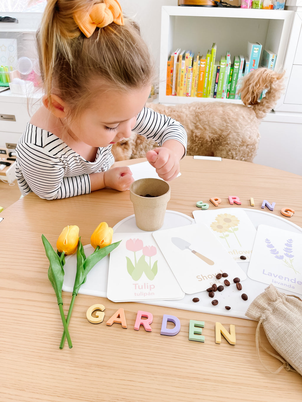 flower-garden-flashcards-Gift-Baby-Toys-15