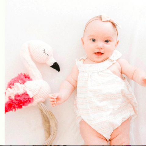 patty-the-flamingo-Gift-Baby-Toys-4