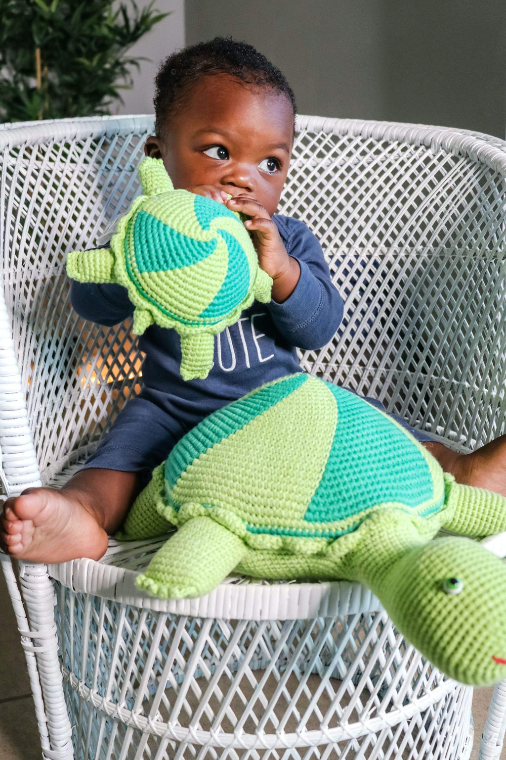 thelma-and-louse-the-turtles-Gift-Baby-Toys-6