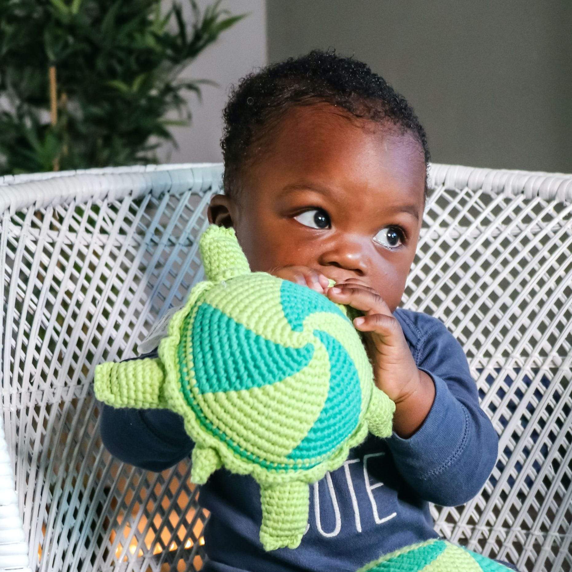 thelma-and-louse-the-turtles-Gift-Baby-Toys-7