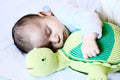 thelma-and-louse-the-turtles-Gift-Baby-Toys-4