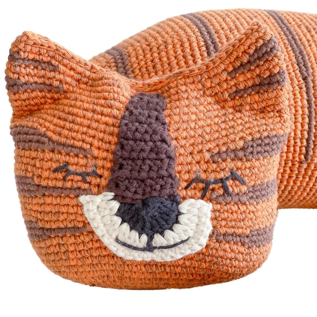 torey-the-tiger-Gift-Baby-Toys-2